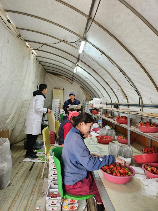 홍성군 농기센터 농산물 안전성 분석실에서 수거한 시료에 대해 잔류농약 정밀 분석을 하는 모습.