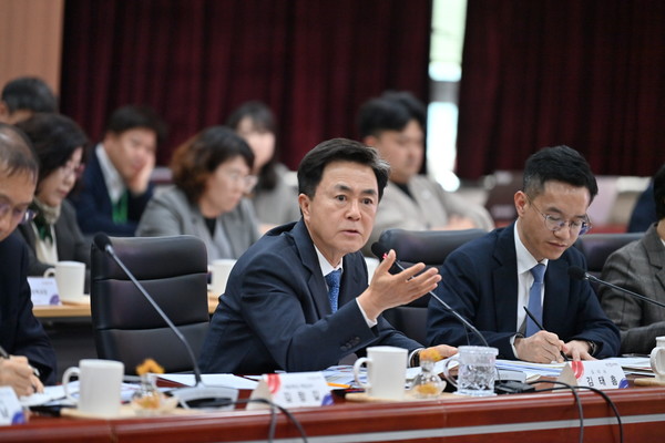 마무리 발언을 하고 있는 김태흠 충남도지사