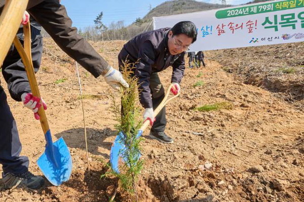 박경귀 아산시장이 편백나무를 식재하고 있다.