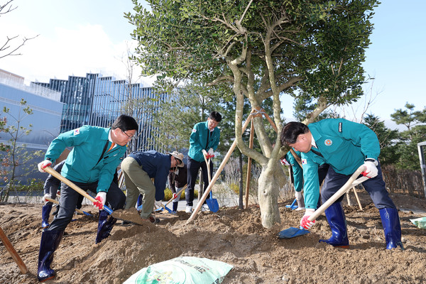 26일에 세종시교육청 직원들이 청사 주변에서 나무를 심고 있다.