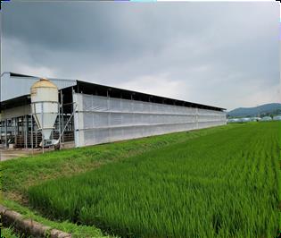 고창 중우농가는 조사료를 직접 생산하고 있다.