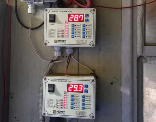30도 가까이 오르는 비육사 온도