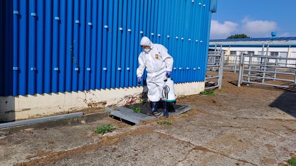 배수로 해충 구제