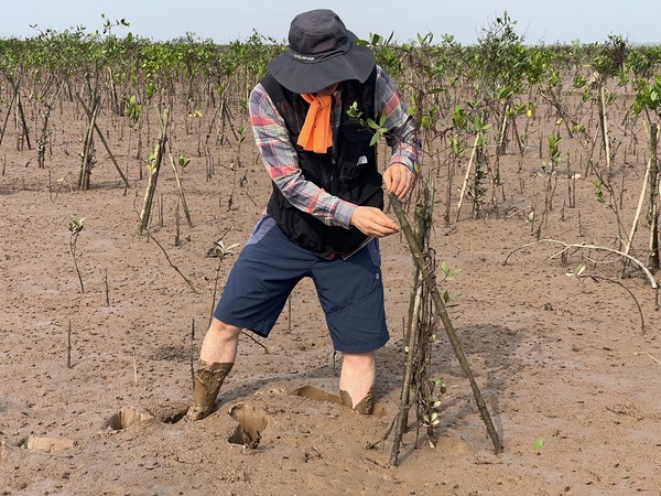 베트남 닌빈 멩그로브 조림지