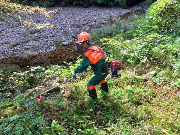 사방시설 주변 점검
