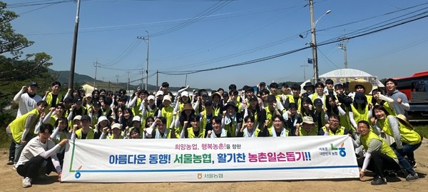 농협서울본부는 신규 직원의 농업·농촌에 대한 이해도를 높이기 위해 일손이 필요한 농가의 일손을 도왔다.