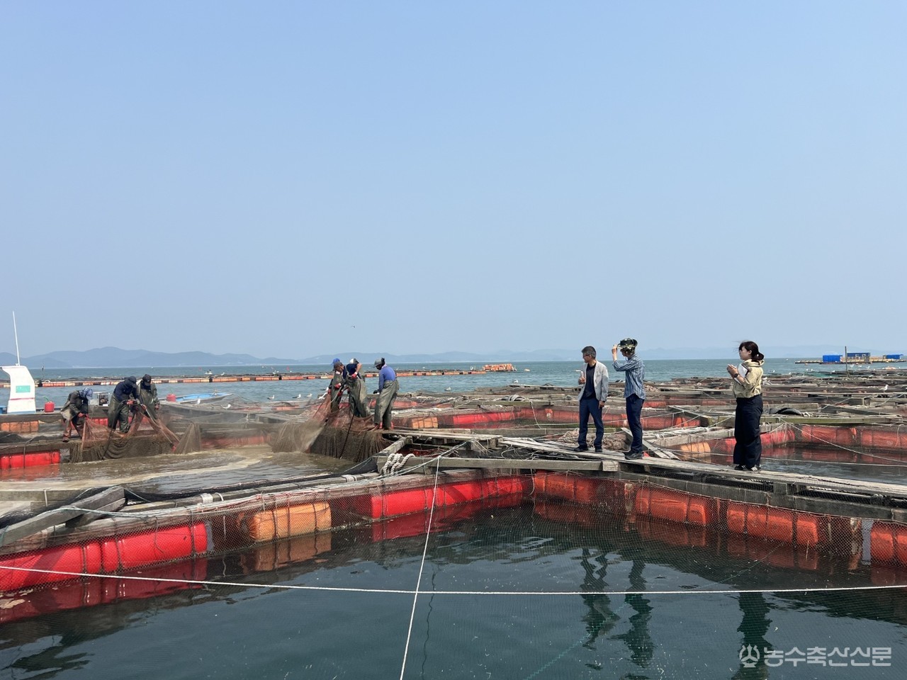 충남도가 태안군 대야도 인근 해상 가두리양식장에서 고수온 대응 현장점검을 하고 있다.
