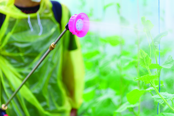 국내 등록된 농약 중 맹독성 제품은 전무하며 가장 낮은 수준인 저독성이 84.3%, 두 번째 수준인 보통독성이 15.5%로 대다수를 차지하고 있다. 더불어 정부는 ‘허용물질목록 관리 제도(PLS)’를 모든 농산물에 적용하고 농촌진흥청과 식품의약품안전처가 각각 작물잔류성·환경오염과 농약 사용에 따른 농작물 잔류 조사 등을 진행하는 등 철저한 관리도 이뤄지고 있다.