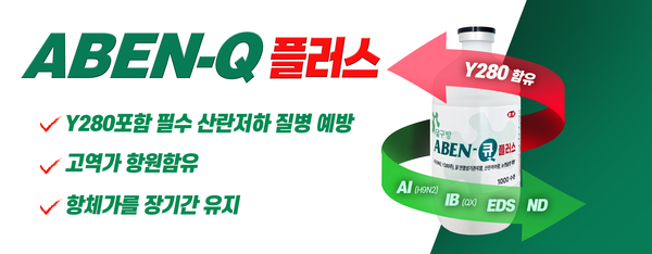 고려비엔피의 아벤-큐 플러스.