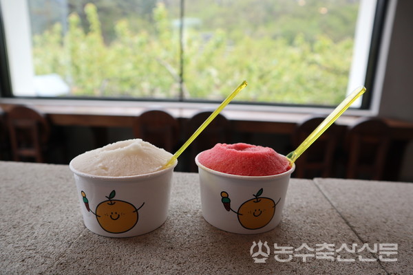 배배젤라또에서 판매 중인 젤라토