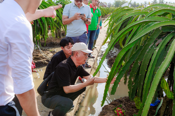 문홍길 관리원장이 한국산 유기질비료를 사용한 베트남 경종농가(용과 재배) 현장을 방문한 모습.