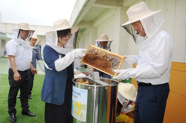 농협서울본부는 19일 도시 생태계 복원과 도시양봉 활성화를 위해 설치한 도시양봉장에서 첫 채밀행사를 가졌다. 이날 수확한 벌꿀 100kg은 복지시설 등에 전달할 예정이다. 진선미 의원(오른쪽에서 세번째)과 김상수 본부장(오른쪽 첫번째)이 벌집을 채밀기에 넣고 있다.