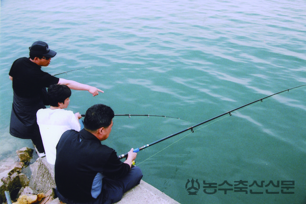 수산자원을 이용하는 해양레저산업의 성장세가 이어지면서 어업인과 레저객간의 갈등도 심화되는 양상을 보이고 있다. 이에 정부·지자체·어업인·유어객·전문가가 참여하는 거버넌스를 구축하고 유어행위와 관련해 국민 인식 개선을 위한 교육·홍보의 필요성이 제기되고 있다.