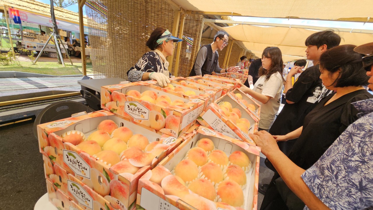 맛과 당도를 보장하는 116년 전통 조치원 복숭아 (사진=박나라 기자)