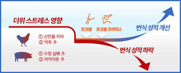 [이미지 제공=고려비엔피]