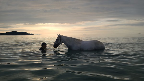 대상수상 작품(최은택 씨의 '말아일체').