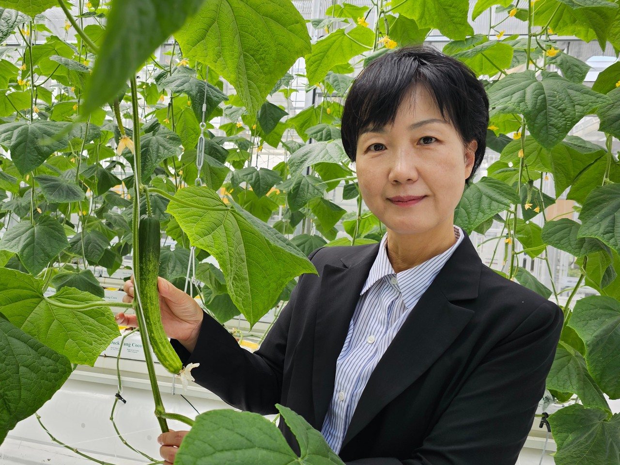 김영 충남도 농업기술원장