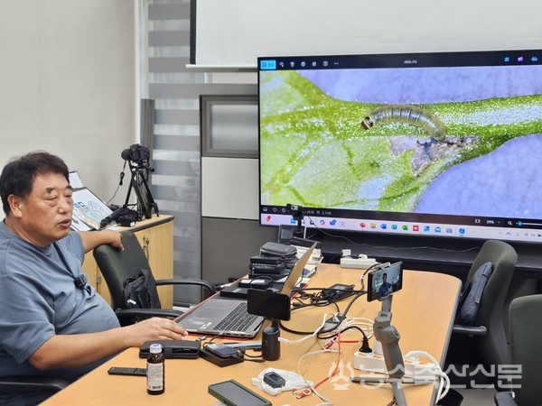 김 소장은 최근 문제가 되고 있는 토마토뿔나방의 효과적인 방제를 위한 연구에 몰두하고 있다. 얼마 전에는 정식 전 관주처리로도 토마토뿔나방 방제에 효과를 나타내는 제품을 확인해 검증실험을 하고 있다.