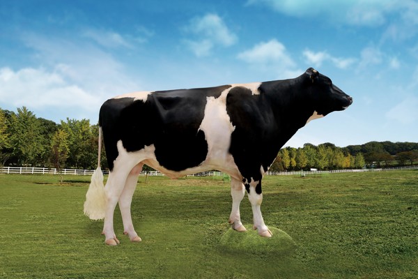 한국형 보증씨수소 '제니스'