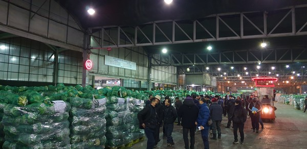 가락동농수산물도매시장에 배추 경매장.