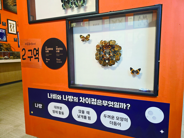 ‘이화곤충공방’의 전시는 교과과정과 연계한 내용으로 어린이의 관심과 함께 찾는 부모들의 만족도도 높이고 있다.