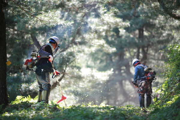 김범주 씨의 '임도 풀베기'