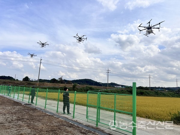 드론방제단이 드론을 띄워 논에 농약을 살포할 준비를 하고 있다.