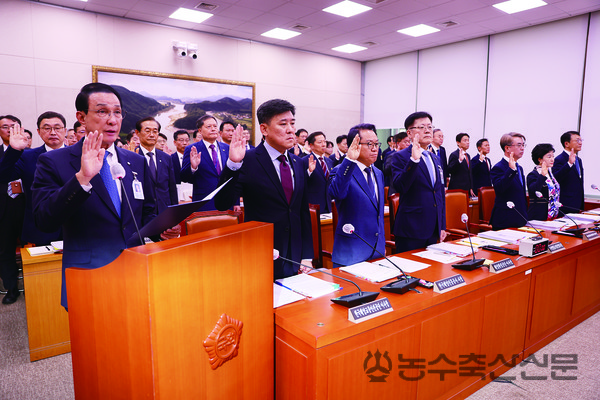 지난 4일 열린 국정감사에서 노동진 수협중앙회장[사진 왼쪽 첫 번째]을 비롯한 기관 증인들이 증인선서를 하고 있다.