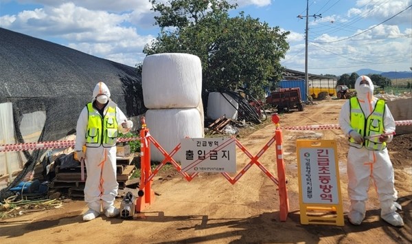 (자료사진)방역당국이 럼피스킨병이 발생한 충남의 한 한우농장에서 긴급방역을 하는 모습.