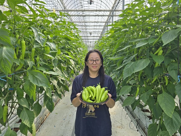 김수현 농부의꿈 대표는 한국농수산대를 졸업한 이후 부모님이 하시던 당조고추 유통·가공업을 함께 하며 당조고추 재배에도 도전, 시행착오를 거쳐 현재는 연간 200톤의 당조고추를 생산하고 있다.