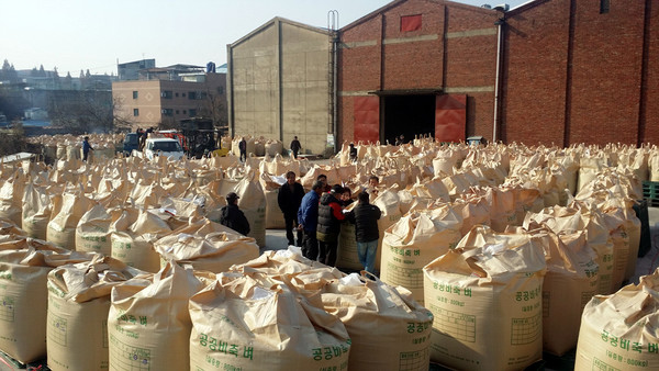 공공비축 벼 매입현장. 