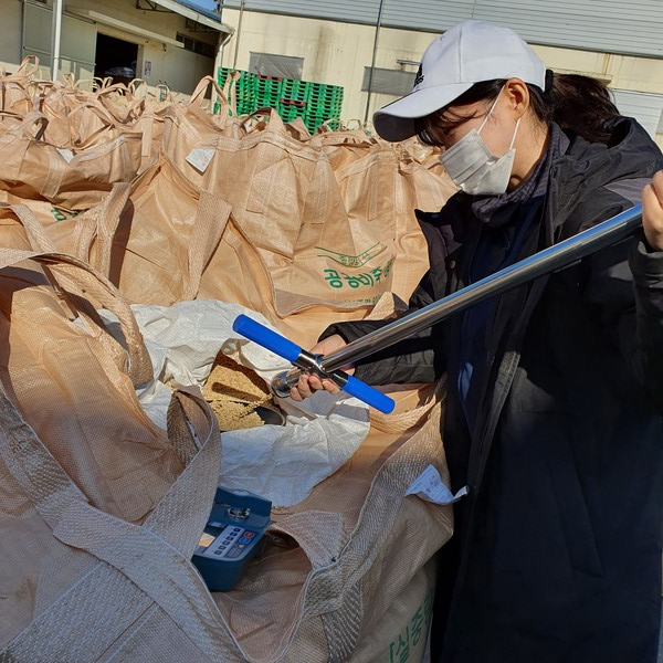 올해산 공공비축벼 검사현장 모습.