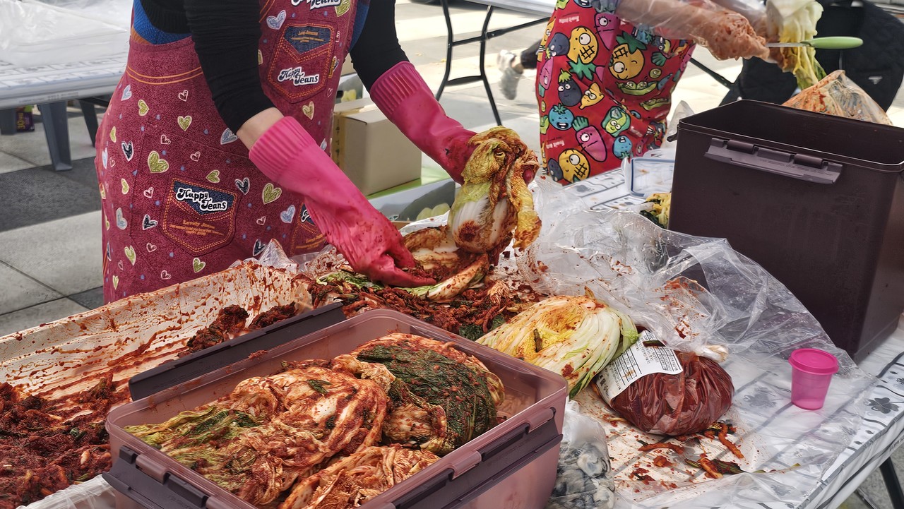 절임배추에 속재료를 정성껏 채우고 있는 분주한 손길