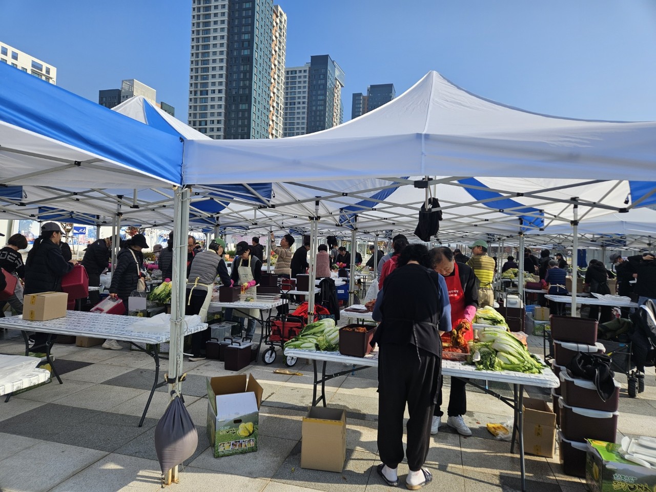 김장담그기가 한창인 세종시 나성동 도시상징광장