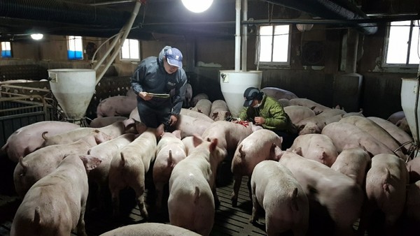 다비퀸 찾아가는 사랑방세미나 농장 내 현장검점 모습.