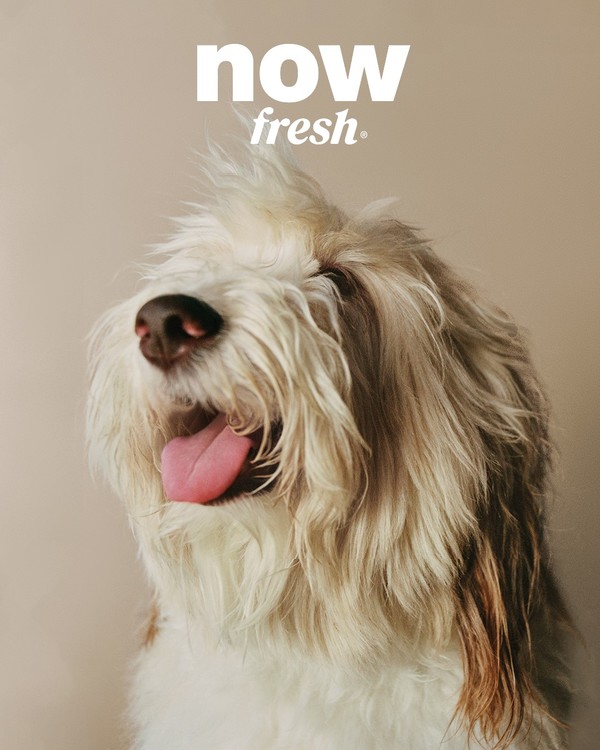 사진제공=이글벳.