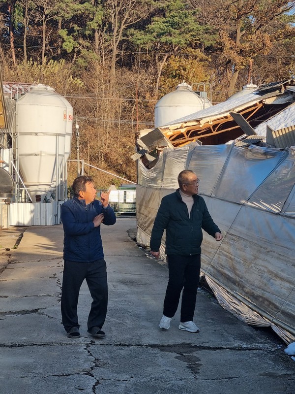 이정배 조합장(오른쪽)이 폭설로 인해 피해를 입은 조합원 농가를 찾아 현장을 둘러보고 있다.