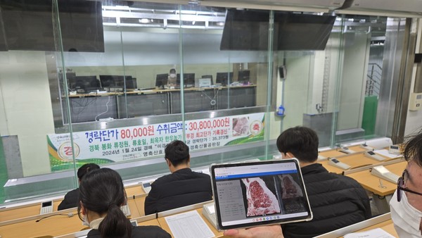 부경축산물공판장에서 중도매인이 소 도체 사진을 보며 축산물 온라인 경매에 참여하고 있다.