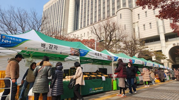 서울 강남구청 설맞이 직거래장터