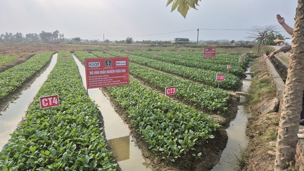  베트남 빈푹성 실증지