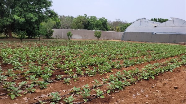 인도 하이데라바드 실증지