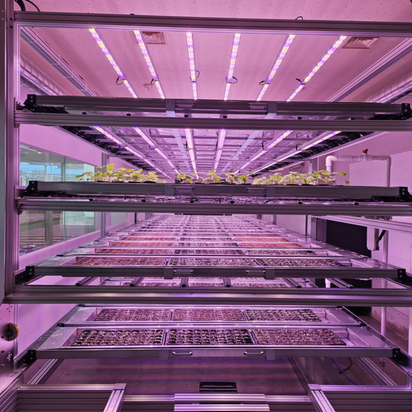 LED 수직형 농장