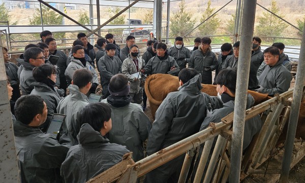 한국종축개량협회가 올해 한우선형심사표준을 개정하고 농가 컨설팅 서비스 고도화에 나섰다. 사진은 최근 진행한 한우선형심사 관련 눈높이 교육 모습.