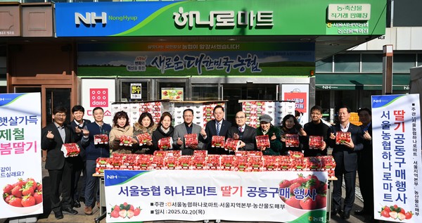 서울서남부농협은 20일 ‘서울농협 농산물 공동구매’ 사업을 통해 산지 직배송한 논산 설향 딸기를 시중가격 대비 최대 30% 저렴하게 판매했다.