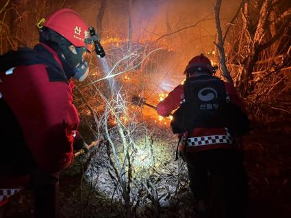 지난 16일 경남 양산시 원동면 산불을 진화하는 산불재난특수진화대 모습.