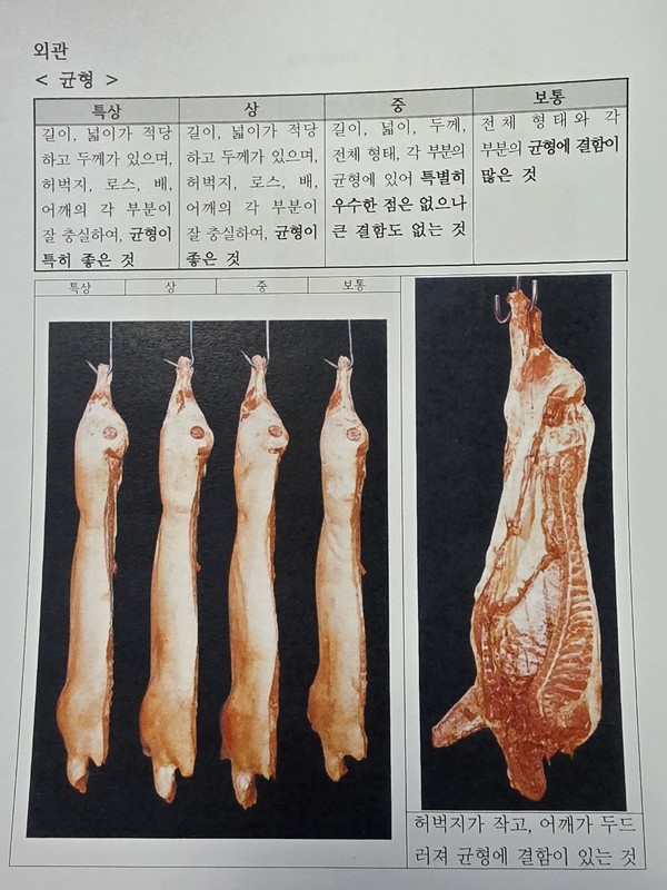 일본의 돼지 도체 등급 표시 사례.