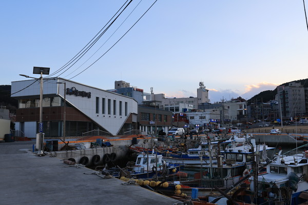부산 하리항의 동삼어촌계는 어촌계원의 고령화와 신규 사업 부진 등으로 쇠락하고 있었다. 그러던 중 2019년 어촌뉴딜300사업 대상지로 선정되고 어촌계 내부 혁신 노력도 더해져 환경 개선, 낚시관광 사업 추진 등으로 새로운 변화의 바람이 불고 있다.