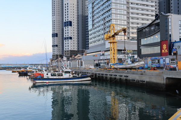 동삼어촌계는 낚시터 증설과 정비 등으로 2016년 2억 원 수준이던 매출이 최근 10억 원 이상으로 늘었을 뿐만 아니라 관련 시설 투자도 이어가고 있다.