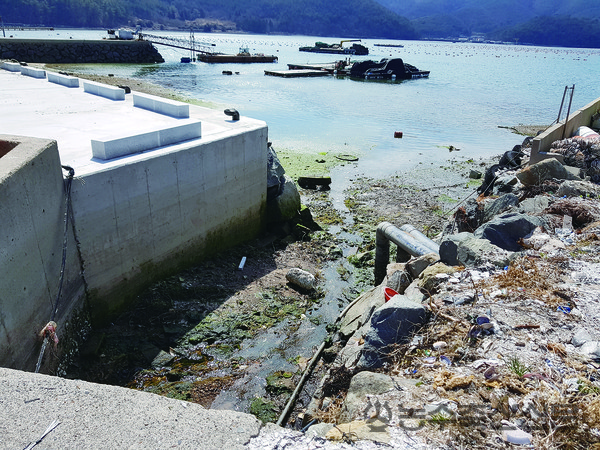 수산물 위생‧안전성을 강화하기 위해서는 어촌마을의 소규모 하수처리시설을 빠르게 늘릴 필요성이 제기되고 있다. 사진은 바다로 하수가 배출되고 있는 어촌마을.