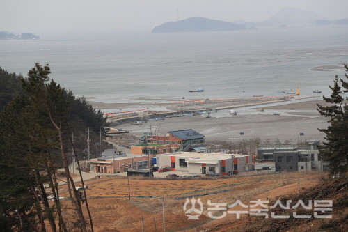 중왕어촌계는 어촌공동체를 넘어 하나의 어촌경영체이자 사람이 돌아오는 마을기업으로 진화하고 있다. 사진은 중왕어촌계 전경.